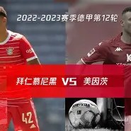 C7娱乐app下载-霍芬海姆主场战胜美因茨，全取三分的简单介绍